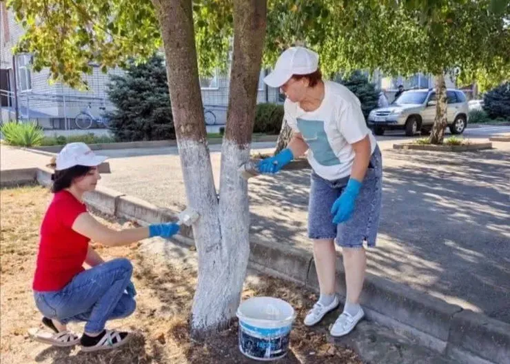 Новый учебный год решили начать с порядка