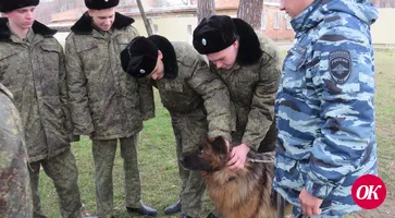 Правоохранители провели профориентационное занятие в Кропоткинском казачьем кадетском корпусе