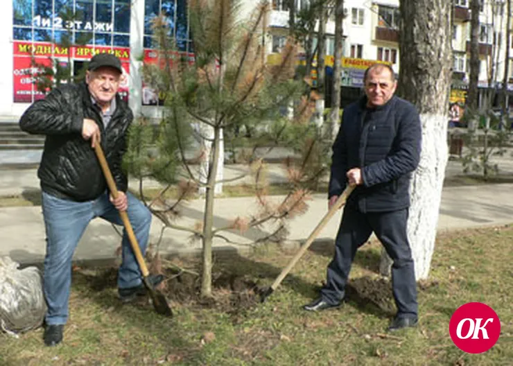 Весна. Арбат зеленеет.