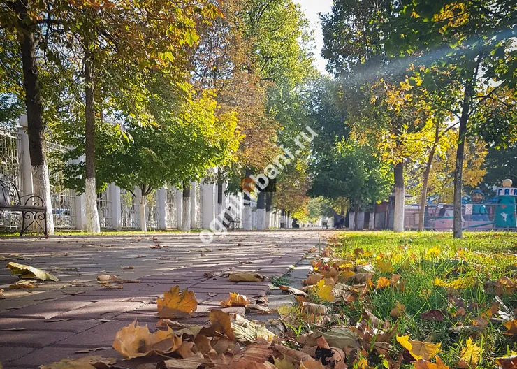 https://ognikubani.ru/wp-content/uploads/2019/10/20191023_091001