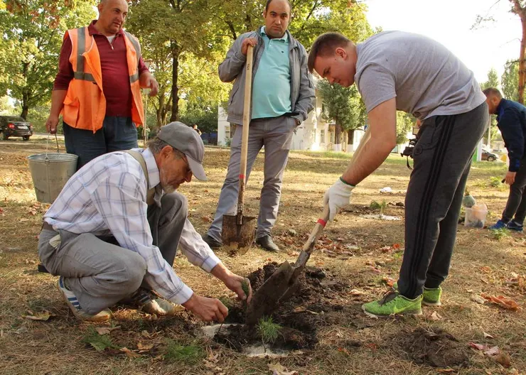 https://ognikubani.ru/wp-content/uploads/2020/09/сайт-17