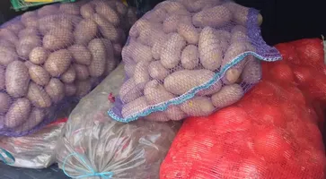 photo_2023-11-24_15-05-00