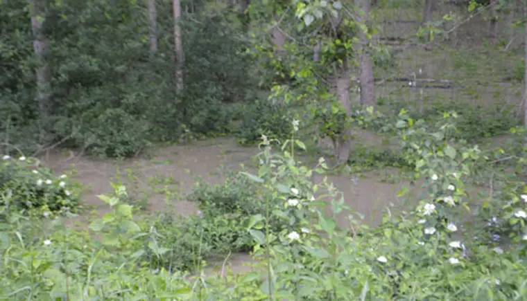 http://www.ognikuban.tw1.ru/wp-content/uploads/2017/05/DSC_1842kuban