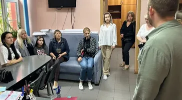 фото саночистка