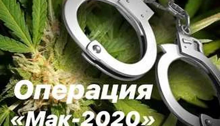 https://ognikubani.ru/wp-content/uploads/2020/09/операция-МАК-2020