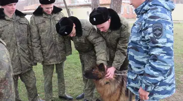 Кадеты пес и дети