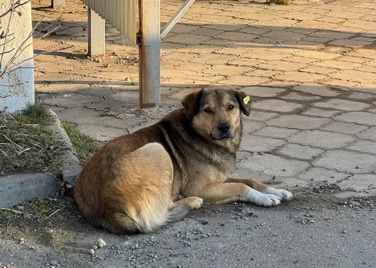 WhatsApp Image 2025-03-07 at 08.16.36 0(8)_cr