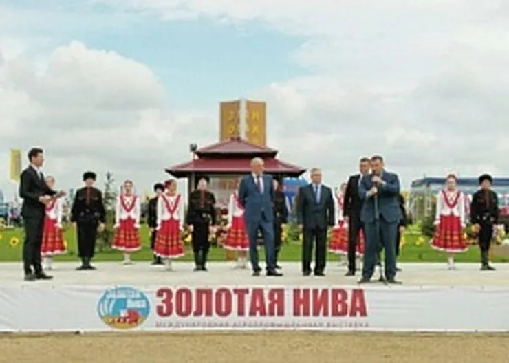 http://www.ognikuban.tw1.ru/wp-content/uploads/2017/05/4b199c1df6fe57d91c290bfaf0fd5238