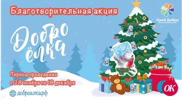 Благотворительный фонд помощи детям «Край добра» проводит традиционную масштабную новогоднюю акцию «ДоброЕлка»