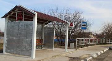 photo_5348035286787024760_y