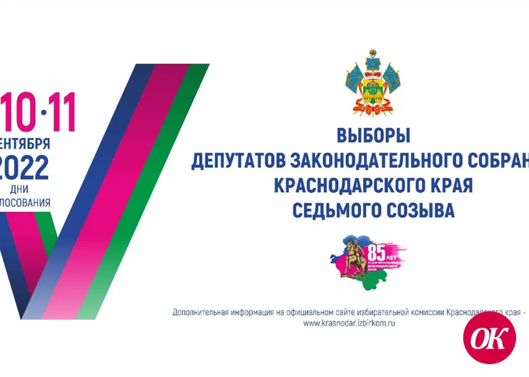 Комиссия работает, избиратель голосует, наблюдатель наблюдает