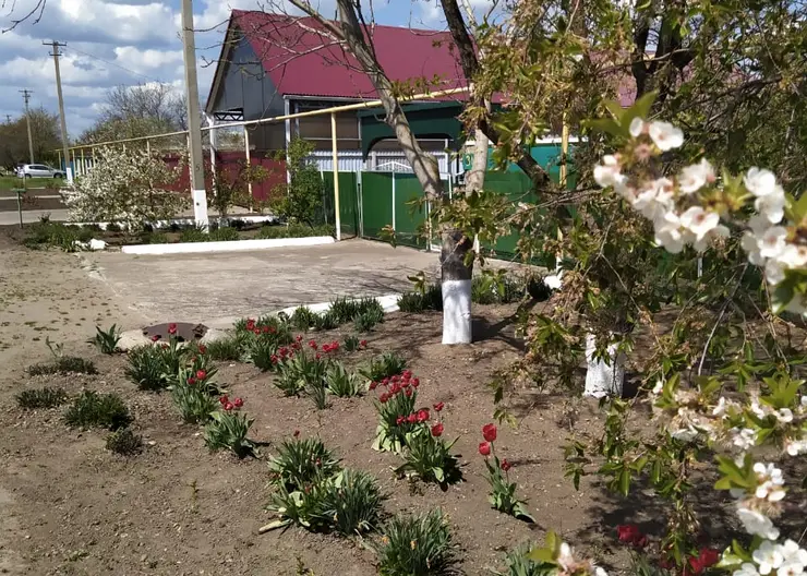 https://ognikubani.ru/wp-content/uploads/2020/04/WhatsApp-Image-2020-04-22-at-11.58.59