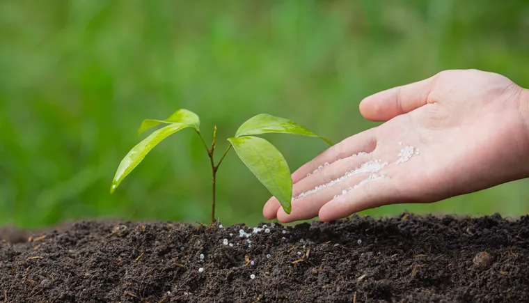 https://ognikubani.ru/wp-content/uploads/2023/03/close-up-picture-of-hand-holding-planting-the-sapling-of-the-plant
