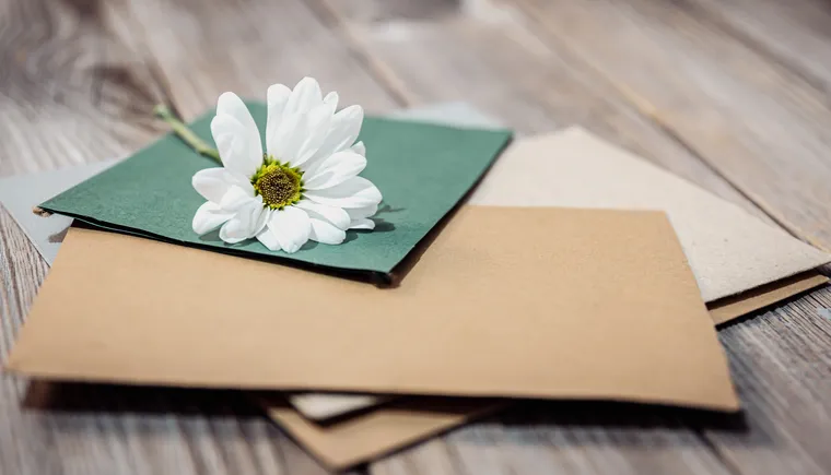 https://ognikubani.ru/wp-content/uploads/2023/02/closeup-of-chamomile-flower-on-envelopes-with-letters_1