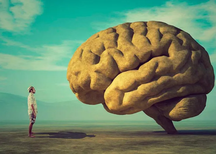 https://ognikubani.ru/wp-content/uploads/2022/07/brain_pic1