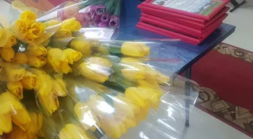 https://ognikubani.ru/wp-content/uploads/2022/03/ognikubani.ru_-13