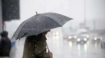 https://ognikubani.ru/wp-content/uploads/2020/02/18bb2721_resizedScaled_1020to678
