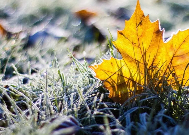 https://ognikubani.ru/wp-content/uploads/2019/10/do_minus_2_gradusov_pokholodaet_v_chelyabinskoy_oblasti_