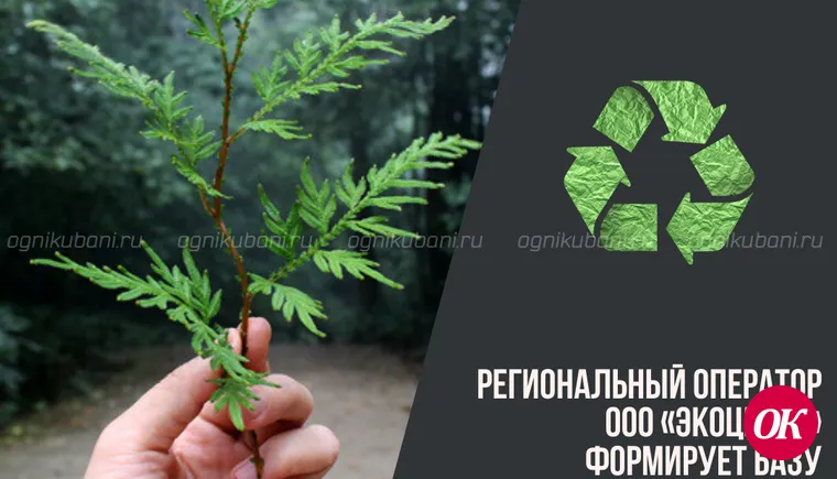 Региональный оператор ООО «ЭкоЦентр» формирует базу потребителей услуги по обращению с ТКО