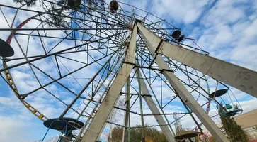 photo_2024-11-08_15-06-23 (2)