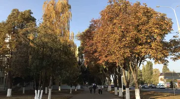 https://ognikubani.ru/wp-content/uploads/2020/10/10741544704