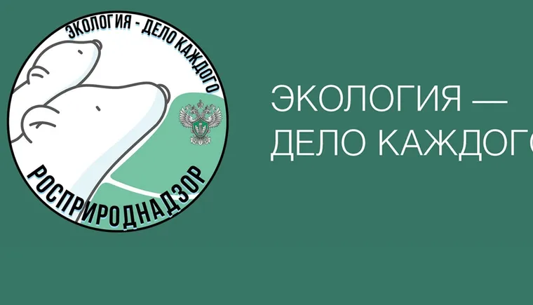 https://ognikubani.ru/wp-content/uploads/2021/12/ognikubani.ru-1-7