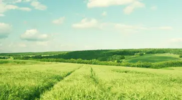 http://www.ognikuban.tw1.ru/wp-content/uploads/2015/06/hq-wallpapers_0