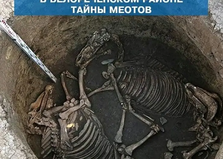 https://ognikubani.ru/wp-content/uploads/2020/08/118473042_118192609814585_2667618085055853879_n