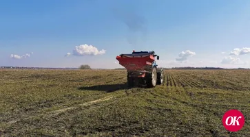Сельхозпредприятия удобряют поля озимой пшеницы