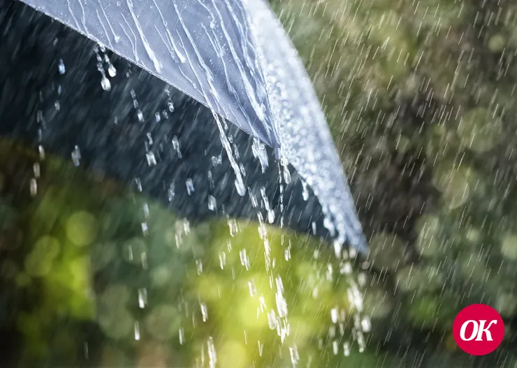 Неделя на Кубани начнется с дождей, зато потеплеет до 17 °С