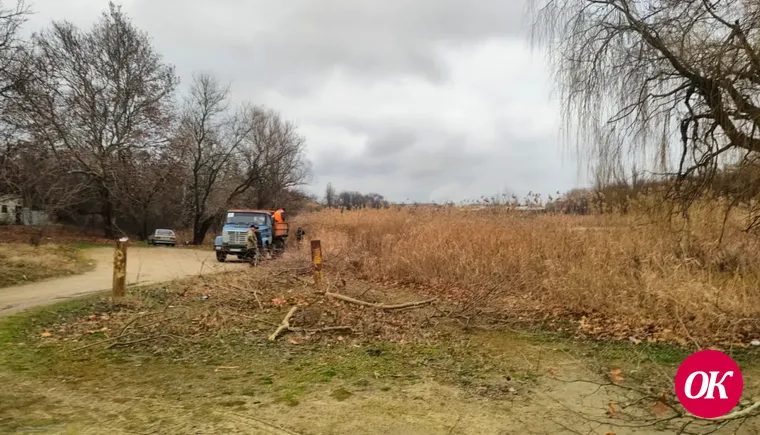 Очистка сухостоя идет на бывшем городском пляже