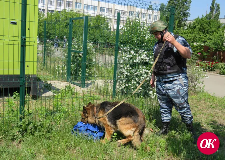 Полицейские приняли участие во Всероссийских учениях по антитеррористической защищенности объектов образования