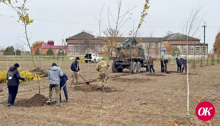 В Темижбекской продолжают сажать деревья