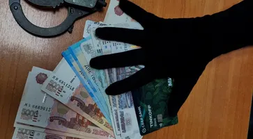 Житель Кропоткина предстанет перед судом за незаконную рубку деревьев