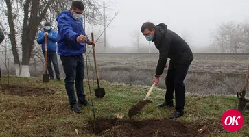 В парке 30-летия Победы депутаты высадили софору японскую и клены