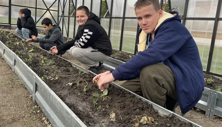 photo_5202125953432680602_y