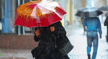 IMG_20231130_155039_045