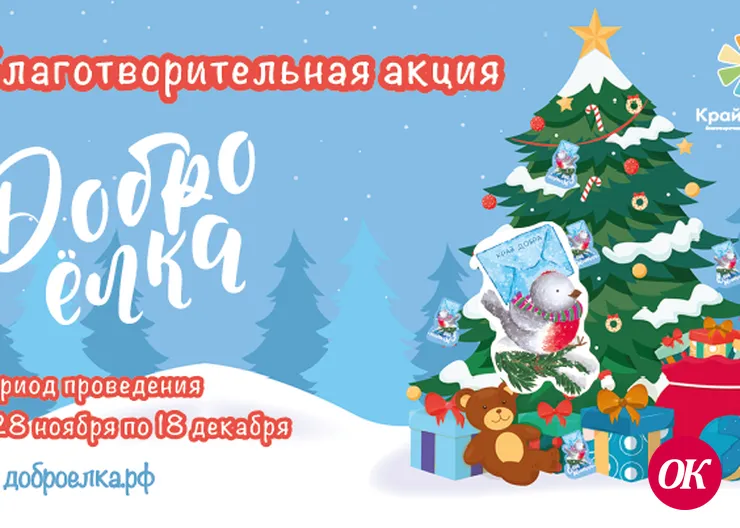 Благотворительный фонд помощи детям «Край добра» проводит традиционную масштабную новогоднюю акцию «ДоброЕлка»