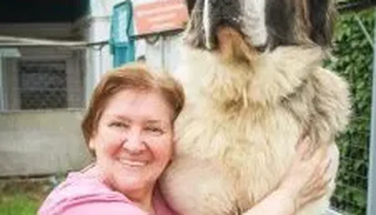 ea3022f0-ce44-453d-975f-b5c0cd8b0630 1