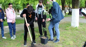 https://ognikubani.ru/wp-content/uploads/2022/05/ognikubani.ru-3