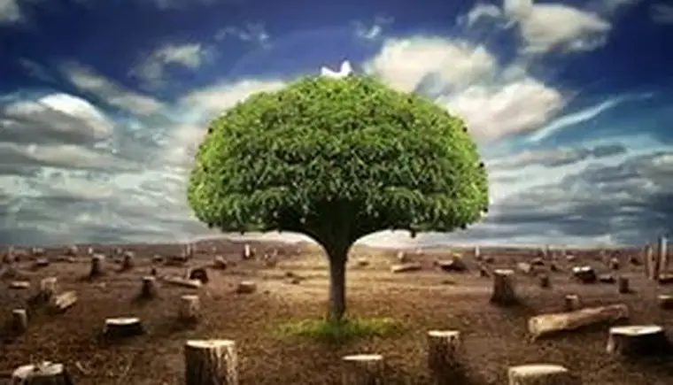 http://www.ognikuban.tw1.ru/wp-content/uploads/2017/02/inovoseltzev333