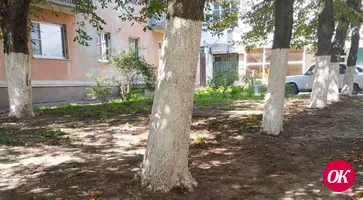 Жители города и коммунальщики объединились в борьбе с мусором