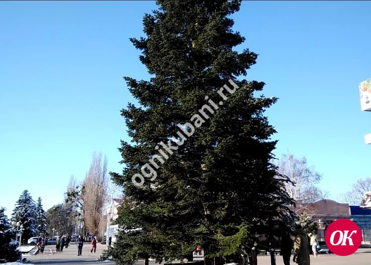 Новогодняя елка сегодня украсила главную площадь Кропоткина