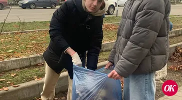 Взялись за грабли