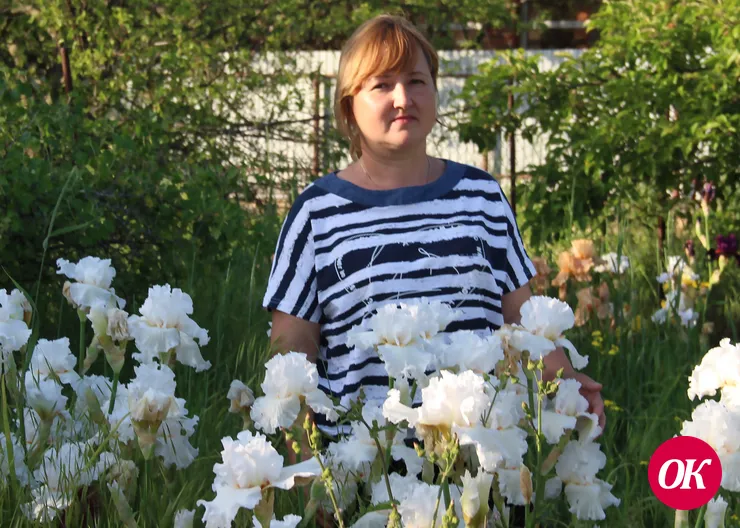 Семь лет Галина Рыбакова из станицы Кавказской выращивает на своем земельном участке более 400 сортов ирисов