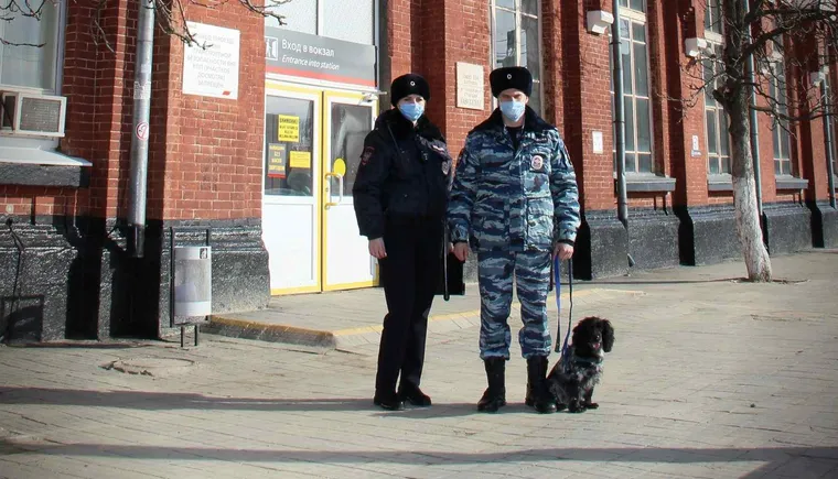 https://ognikubani.ru/wp-content/uploads/2021/02/ognikubani.ru-14