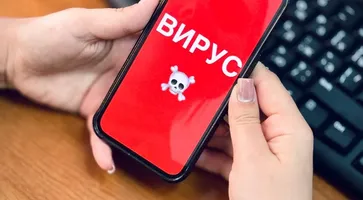 photo_5463037047636878317_y (1)