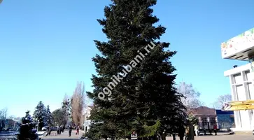 https://ognikubani.ru/wp-content/uploads/2019/12/WhatsApp-Image-2019-12-06-at-14.25.50-2