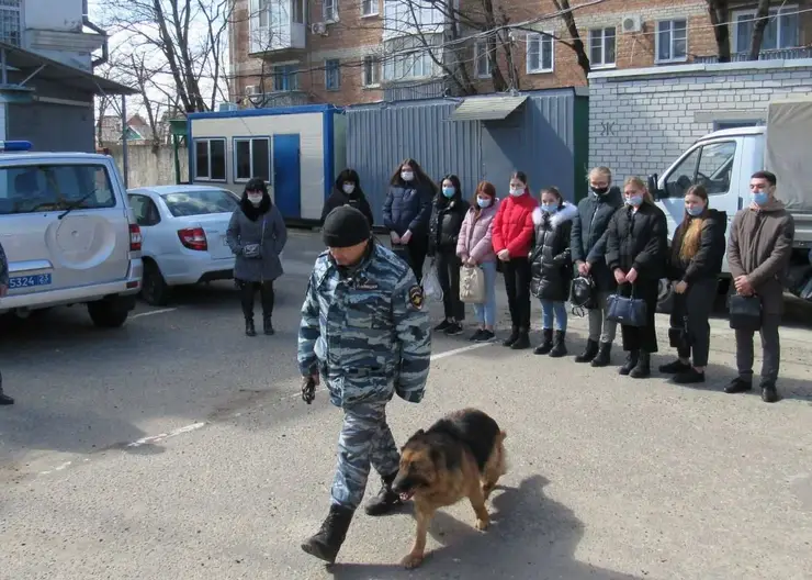 https://ognikubani.ru/wp-content/uploads/2022/03/ognikubani.ru-5-9