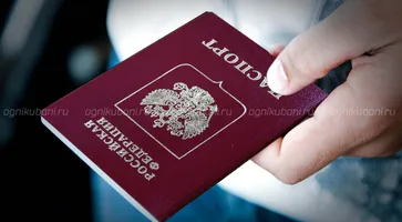 https://ognikubani.ru/wp-content/uploads/2019/12/nol-1